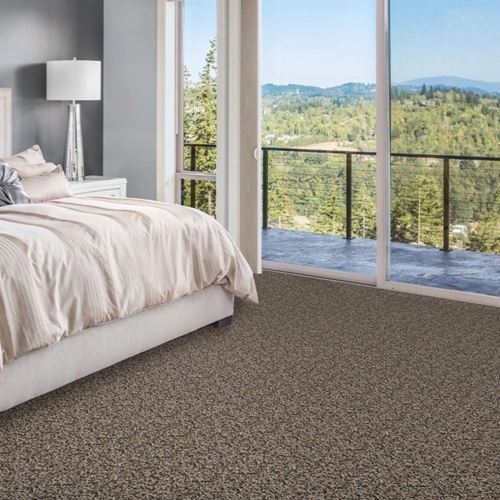 Admirable Plush Carpet