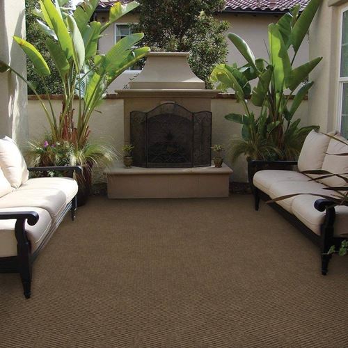 Courtyard Indoor/Outdoor Carpet
