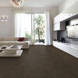 Envision Graphite Carpet
