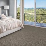 Admirable Impeccable Carpet