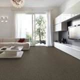 Envision Pewter Carpet