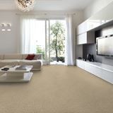 Envision Winter White Carpet