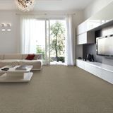Envision Cold Water Carpet