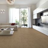 Envision Mushroom Carpet