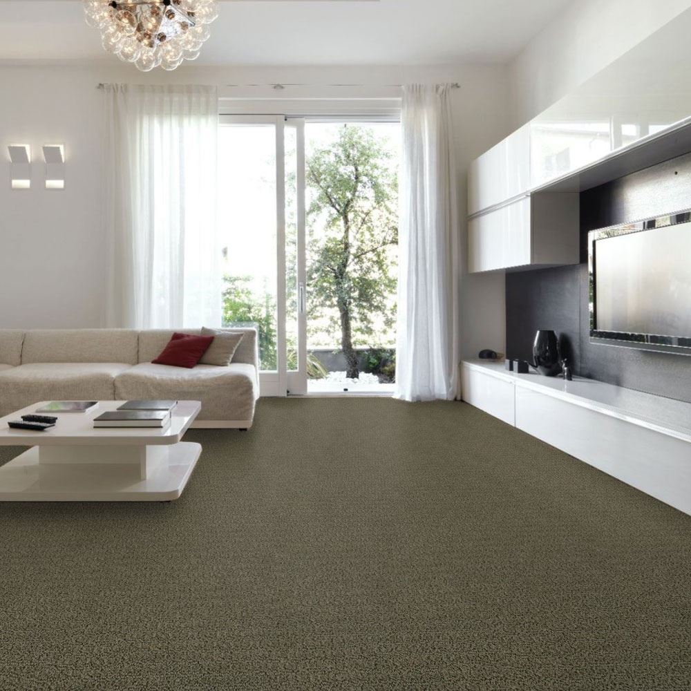 Envision Silver Sage Carpet