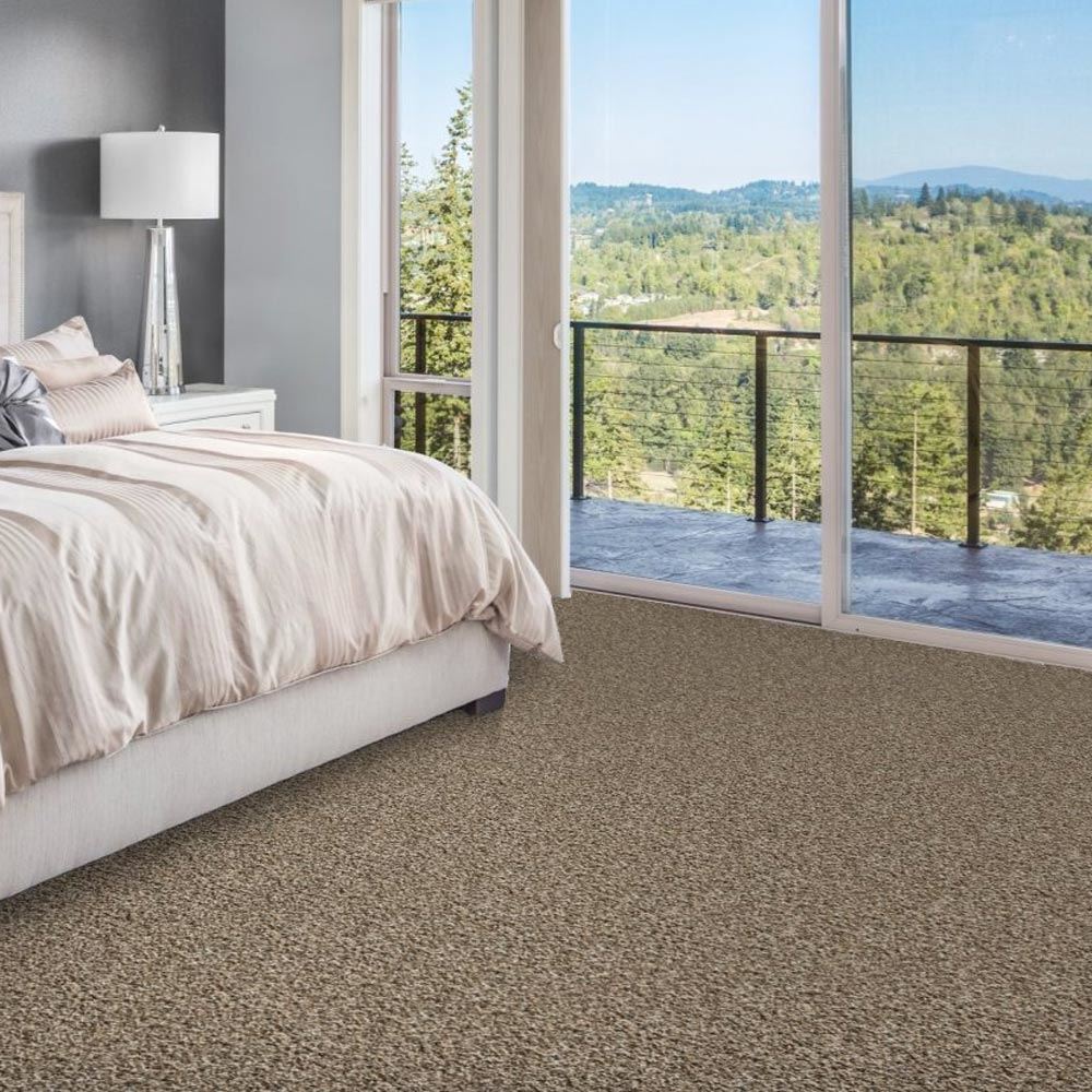 Admirable Plush Carpet
