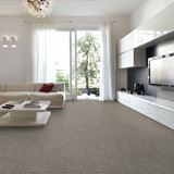 Envision Sea Salt Carpet