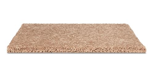 Princeton Junction Plush Carpet