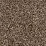 Elliston Genesis Carpet