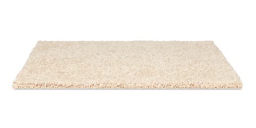 Elliston Plush Carpet