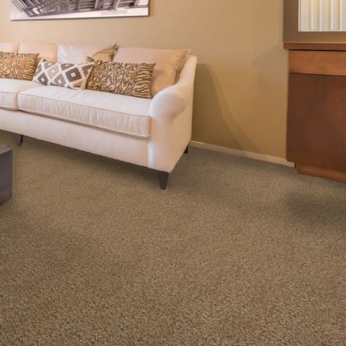 Cool Breeze Plush Carpet