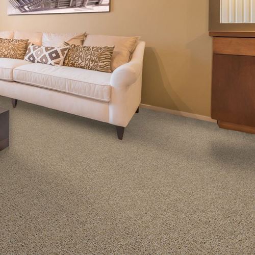 Cool Breeze Plush Carpet