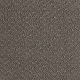 Luminosity Storm Gray Carpet