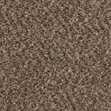 Parker House Caramel Woods Carpet