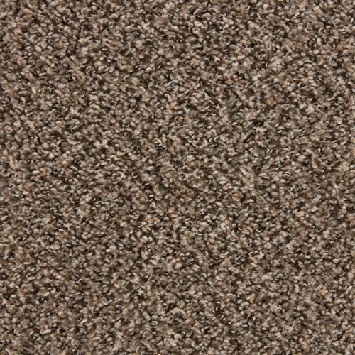 Parker House Plush Carpet