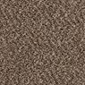 Parker House Plush Carpet
