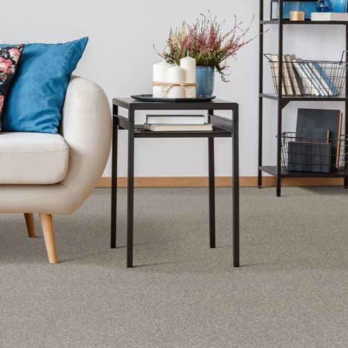 Parker House Plush Carpet