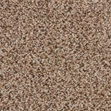 Parker House Wild Truffle Carpet