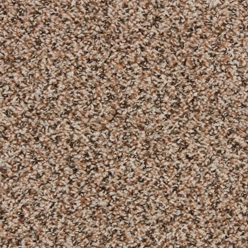 Parker House Plush Carpet