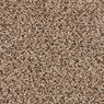 Parker House Plush Carpet