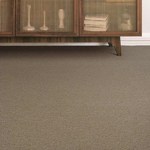Parker House Plush Carpet
