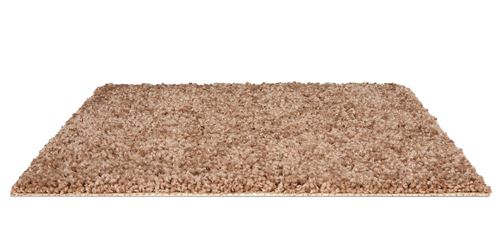Parker House Plush Carpet