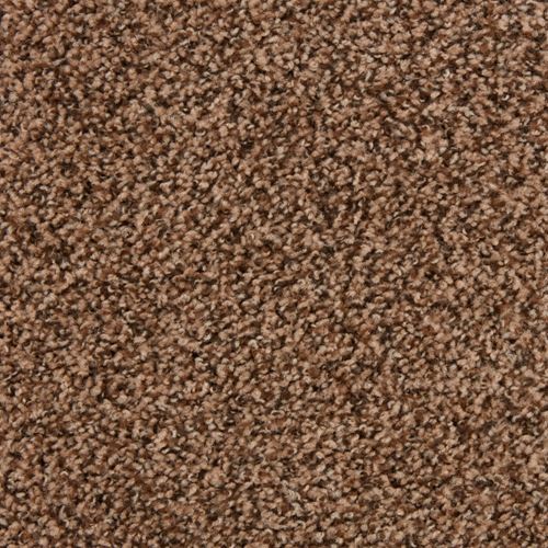 Parker House Plush Carpet