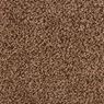 Parker House Plush Carpet