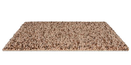 Parker House Plush Carpet