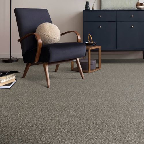 Parker House Plush Carpet