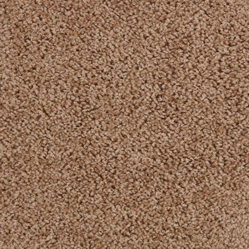 Parker House Plush Carpet