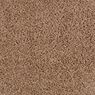 Parker House Plush Carpet