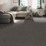 Harmony Heights Amity Carpet