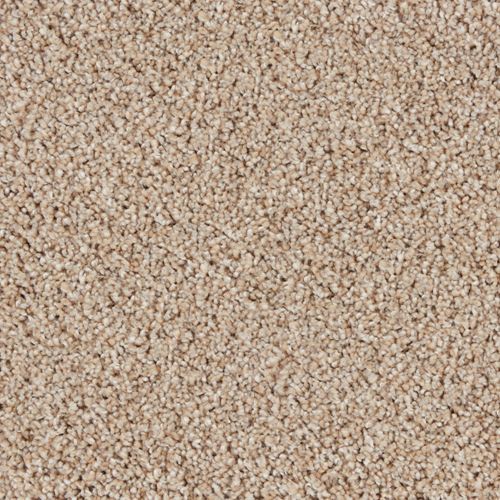 Canton Cliffs Plush Carpet