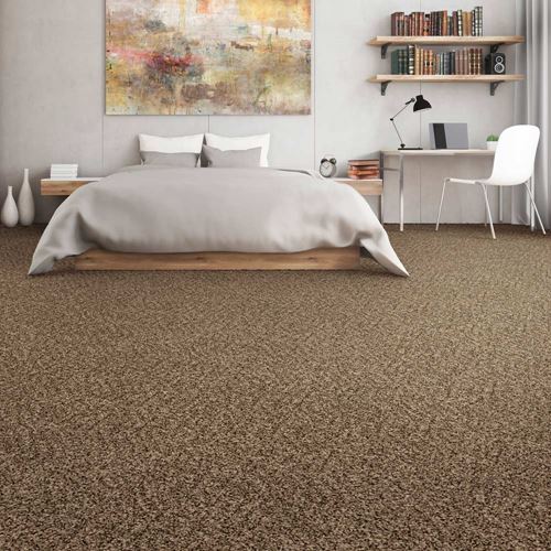 Preston Meadows Plush Carpet