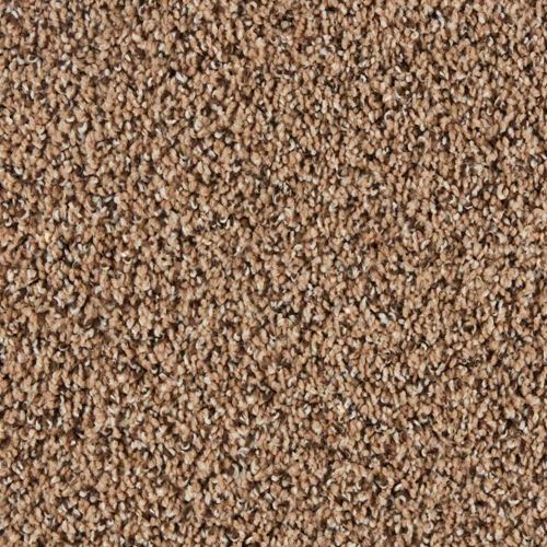 Preston Meadows Plush Carpet