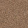 Preston Meadows Plush Carpet