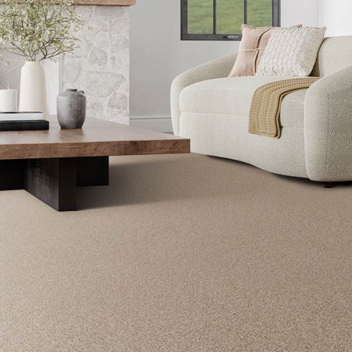 Canton Cliffs Plush Carpet