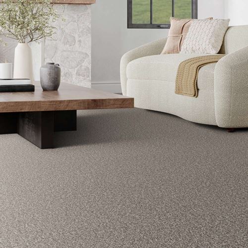 Canton Cliffs Plush Carpet