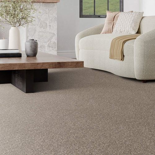 Canton Cliffs Plush Carpet