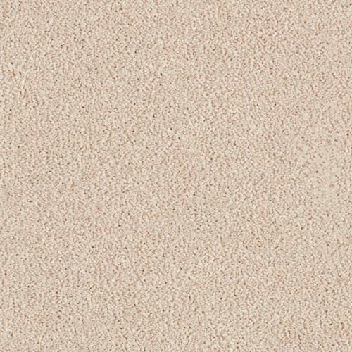 Kingswell Plush Carpet