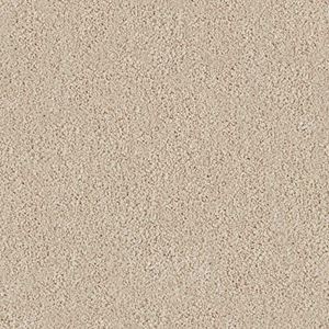 Kingswell Bellecourt Beige Plush Carpet Product Swatch Image