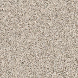 Heatherton Garden Wall Gray Plush Carpet Product Swatch Image