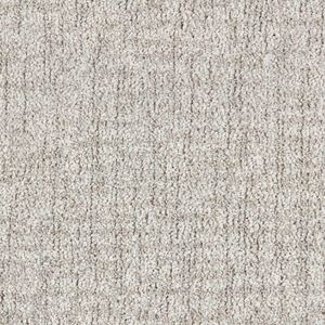 Lindsley Charlotte Gray Pattern Carpet Product Swatch Image