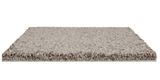 Coral Dunes Grey Tweed Carpet