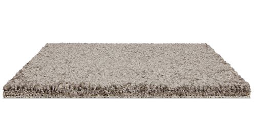Coral Dunes Plush Carpet