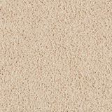 Coral Dunes Terrace White Carpet