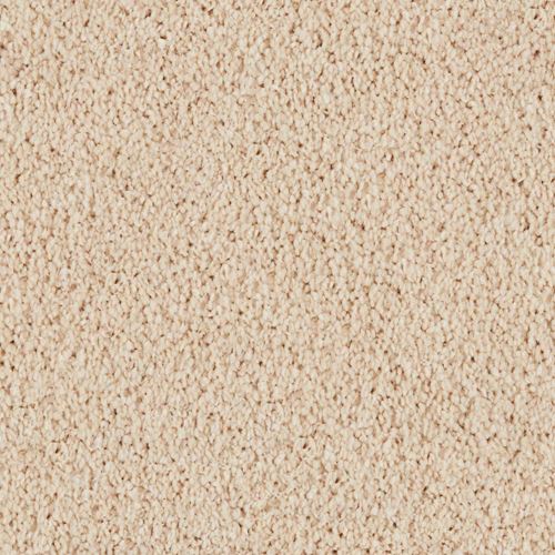 Coral Dunes Plush Carpet