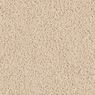 Coral Dunes Plush Carpet