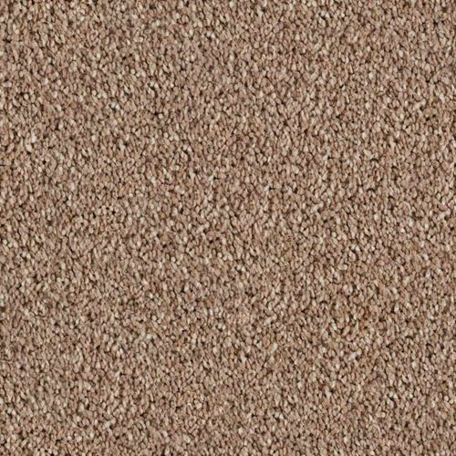 Coral Dunes Plush Carpet